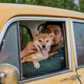 The Ultimate Guide to Bringing Pets on a Luxury Chauffeur Service