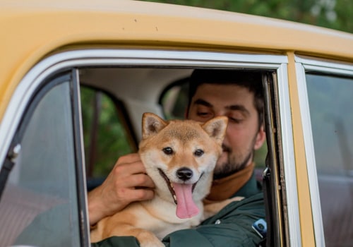 The Ultimate Guide to Bringing Pets on a Luxury Chauffeur Service